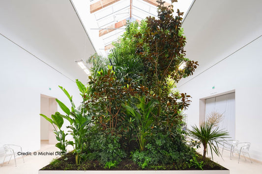 Image credit: Michiel De Cleene