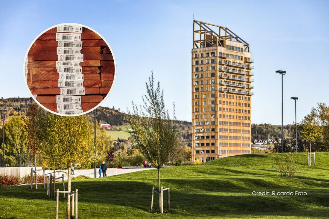 FSC, the “gold standard” for sustainability 