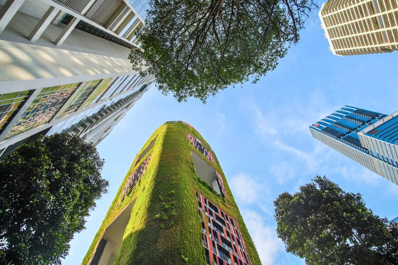 The five core principles of sustainable architecture