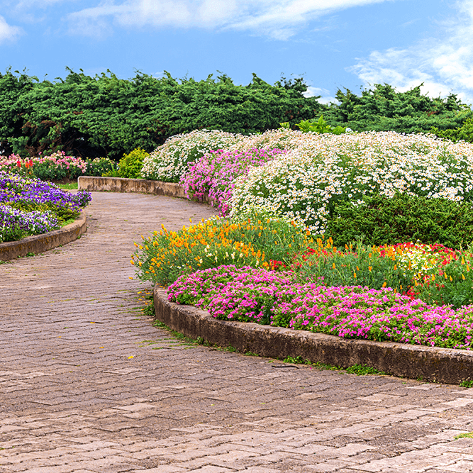 Farming & Landscaping