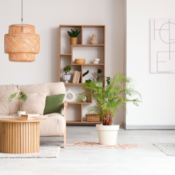 Furnishing